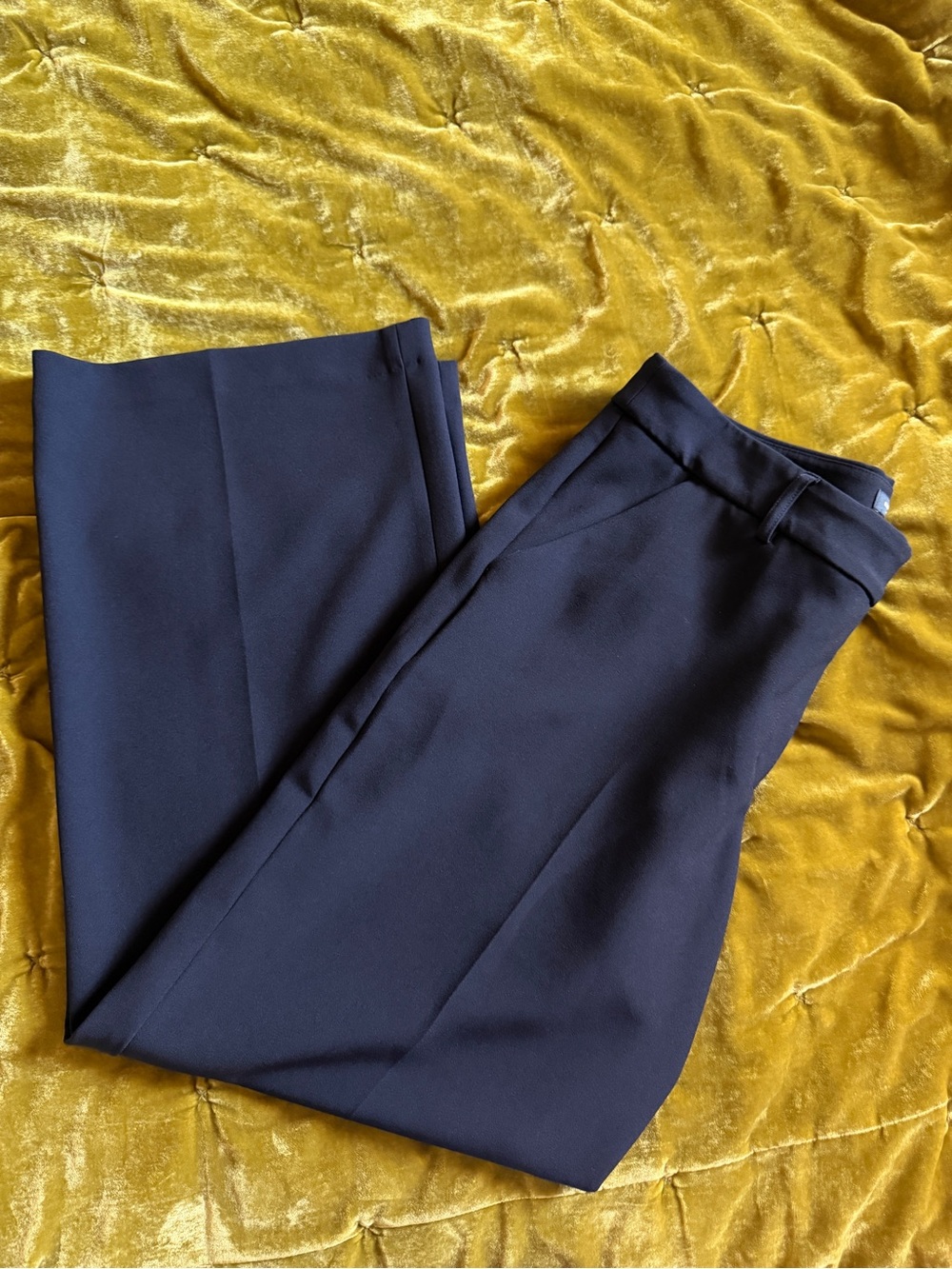 Express Wide Leg Editor Pant
